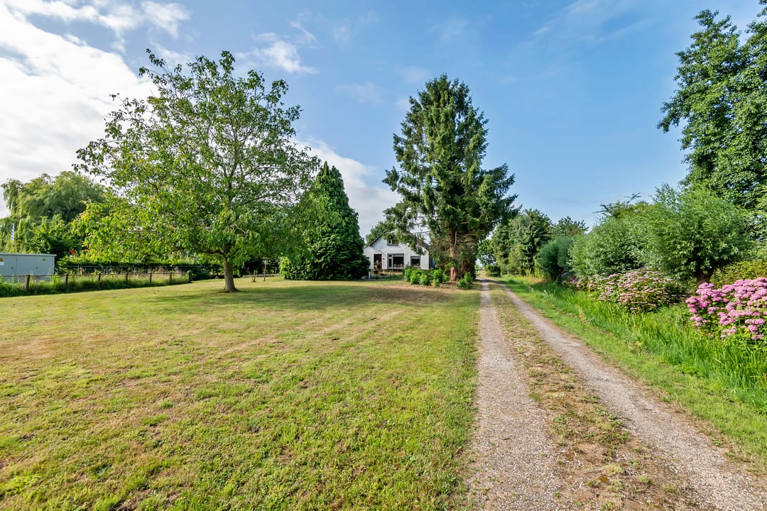 Foto 7 van Ganzert 45