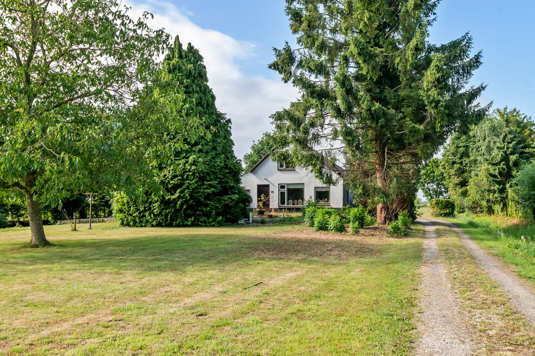 Foto 8 van Ganzert 45