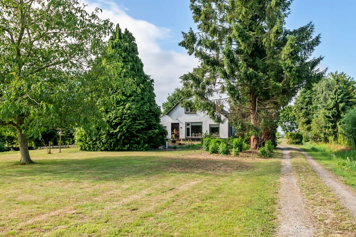 Foto 8 van Ganzert 45