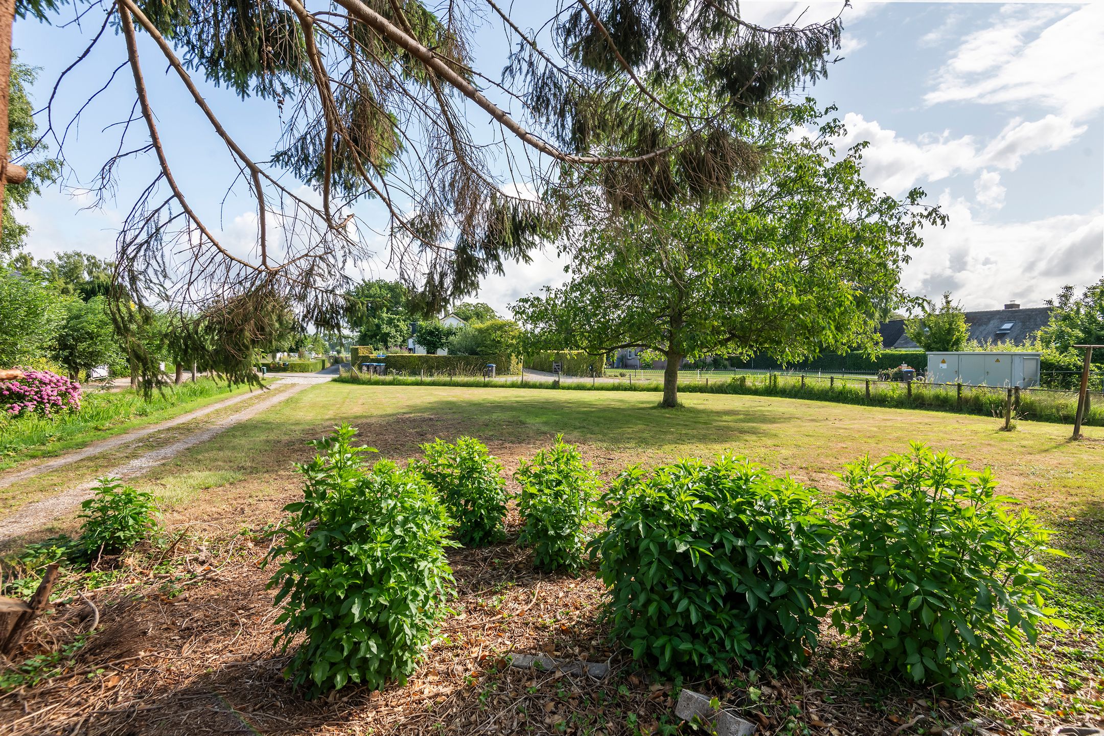 Foto 9 van Ganzert 45