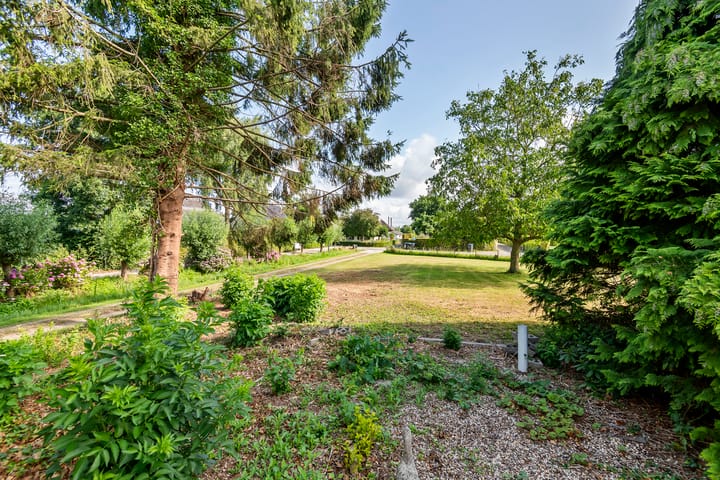 Foto 10 van Ganzert 45