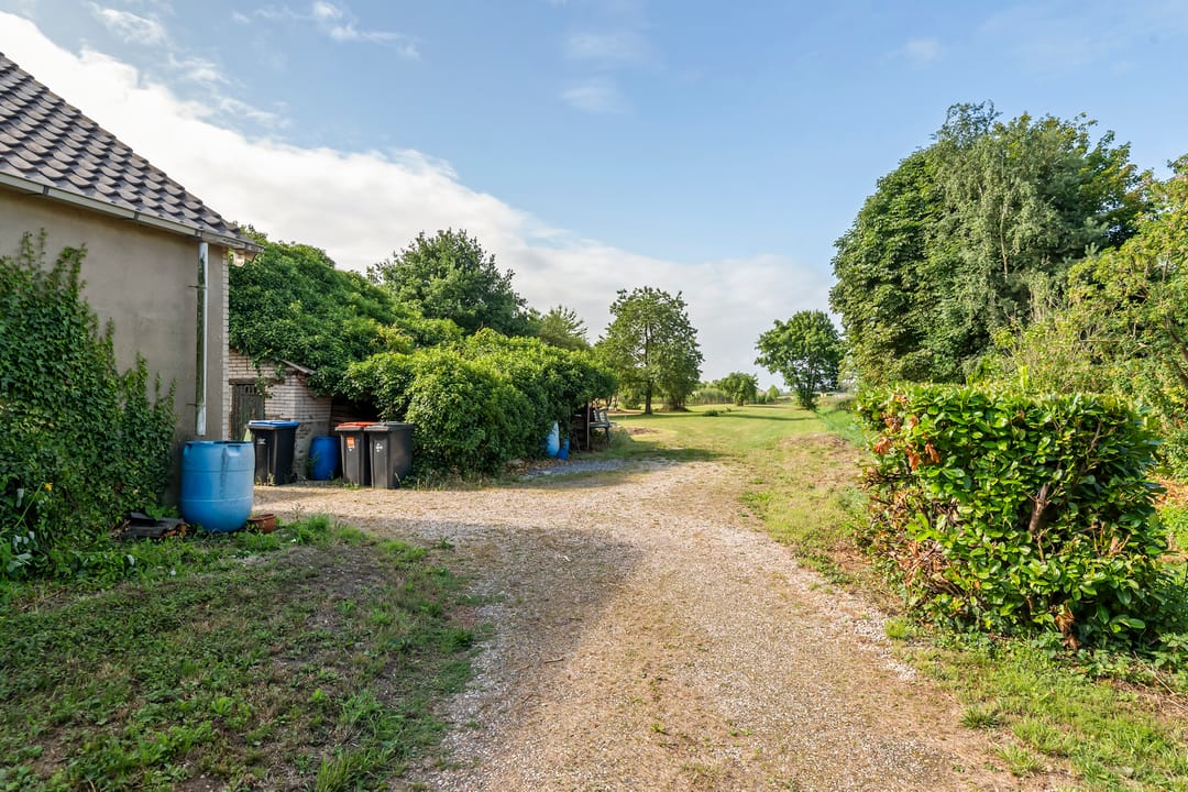 Foto 11 van Ganzert 45