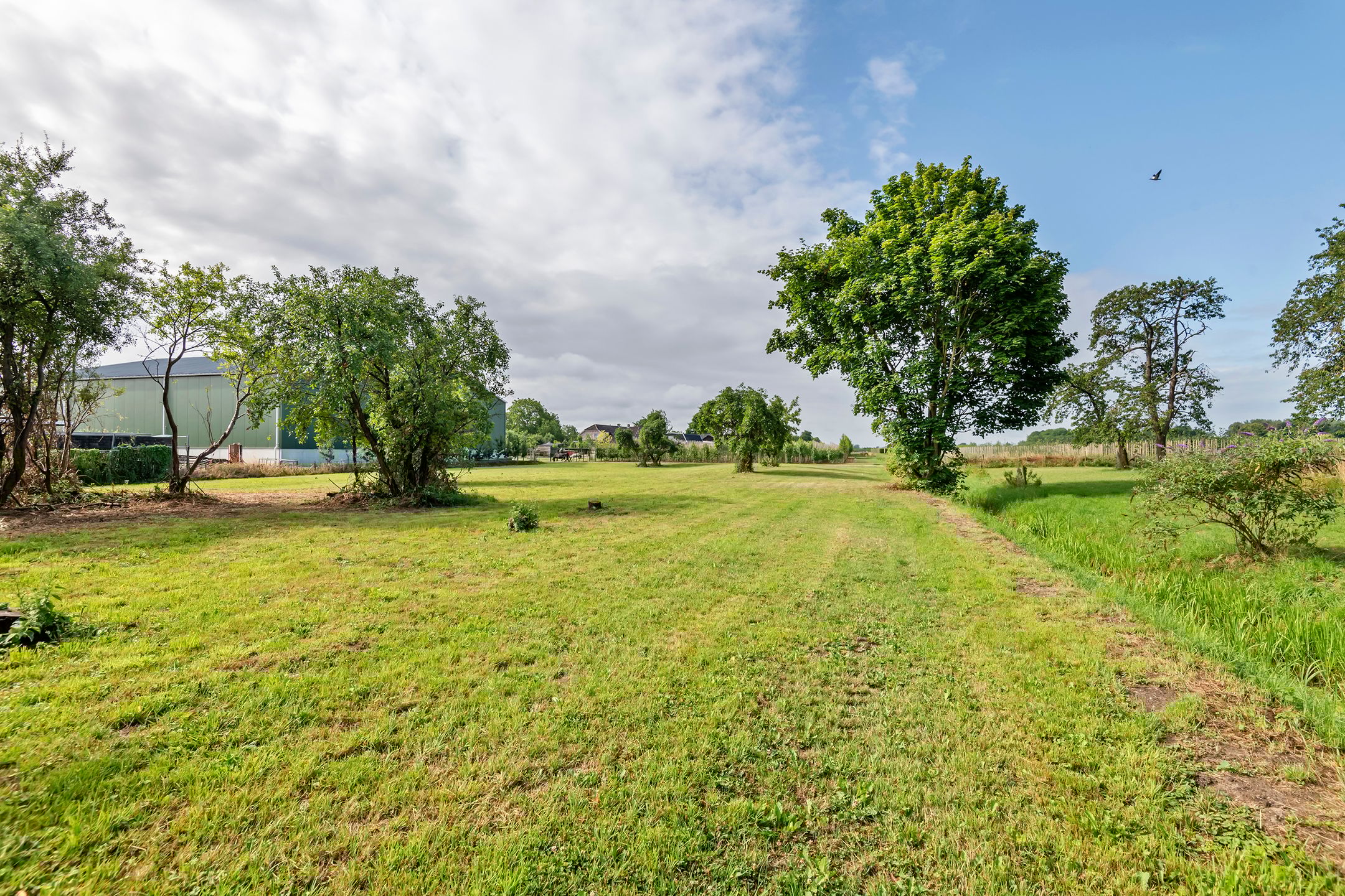 Foto 3 van Ganzert 45