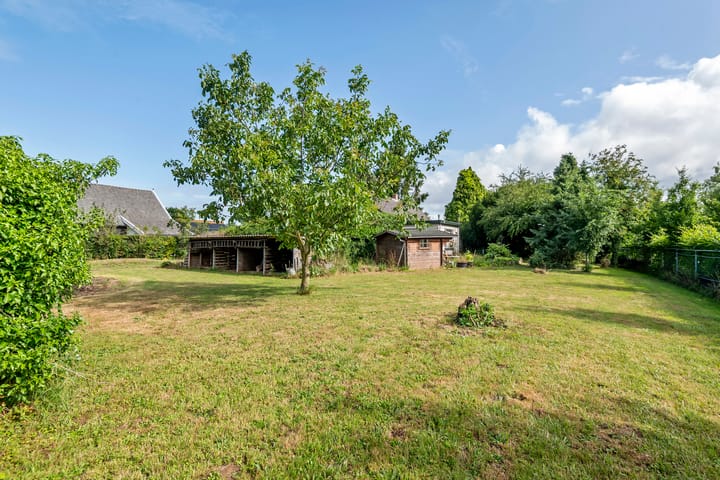 Foto 17 van Ganzert 45