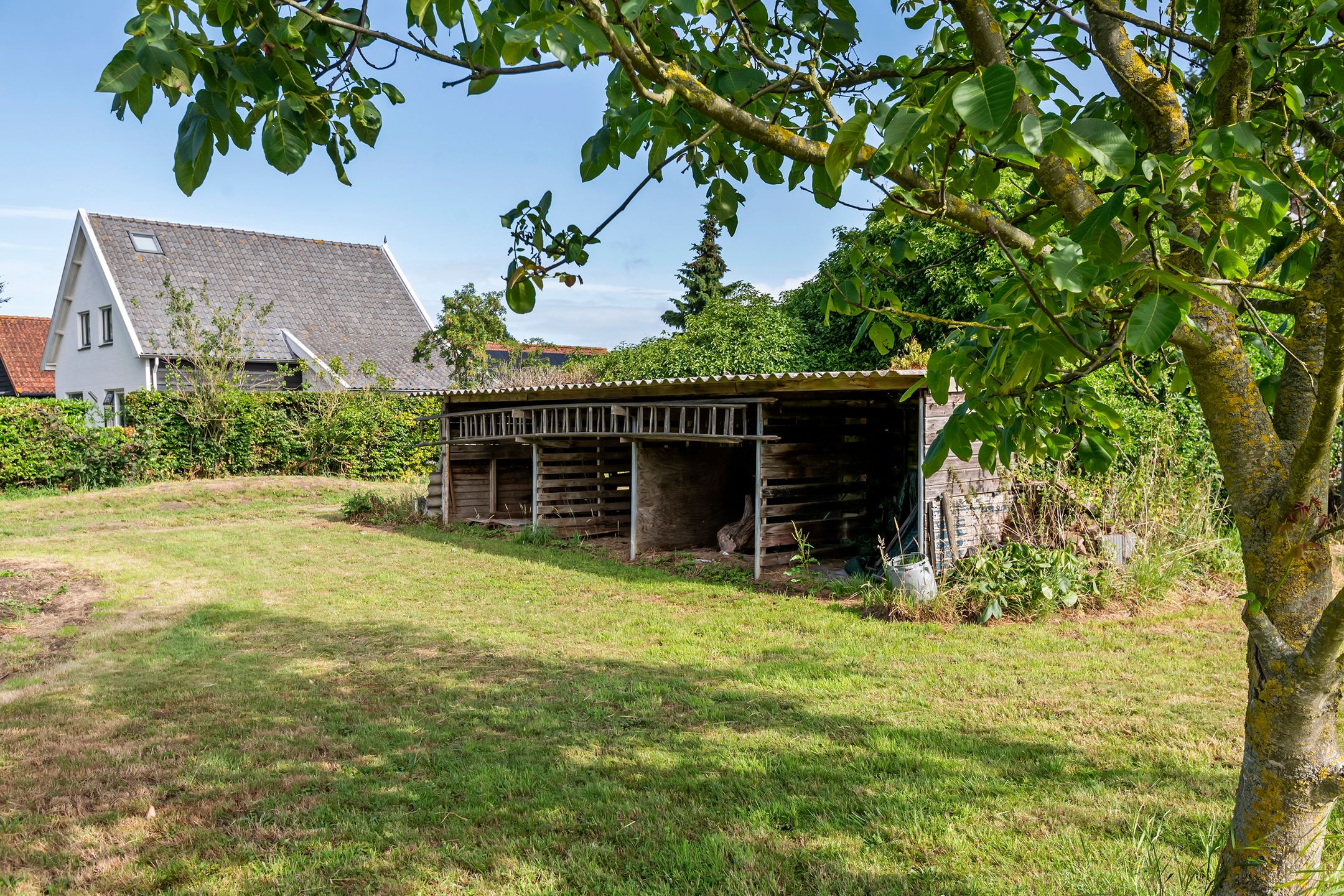 Foto 18 van Ganzert 45