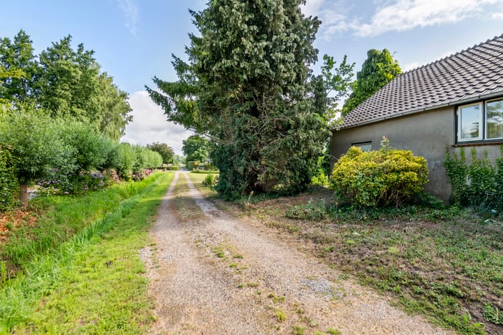 Foto 23 van Ganzert 45