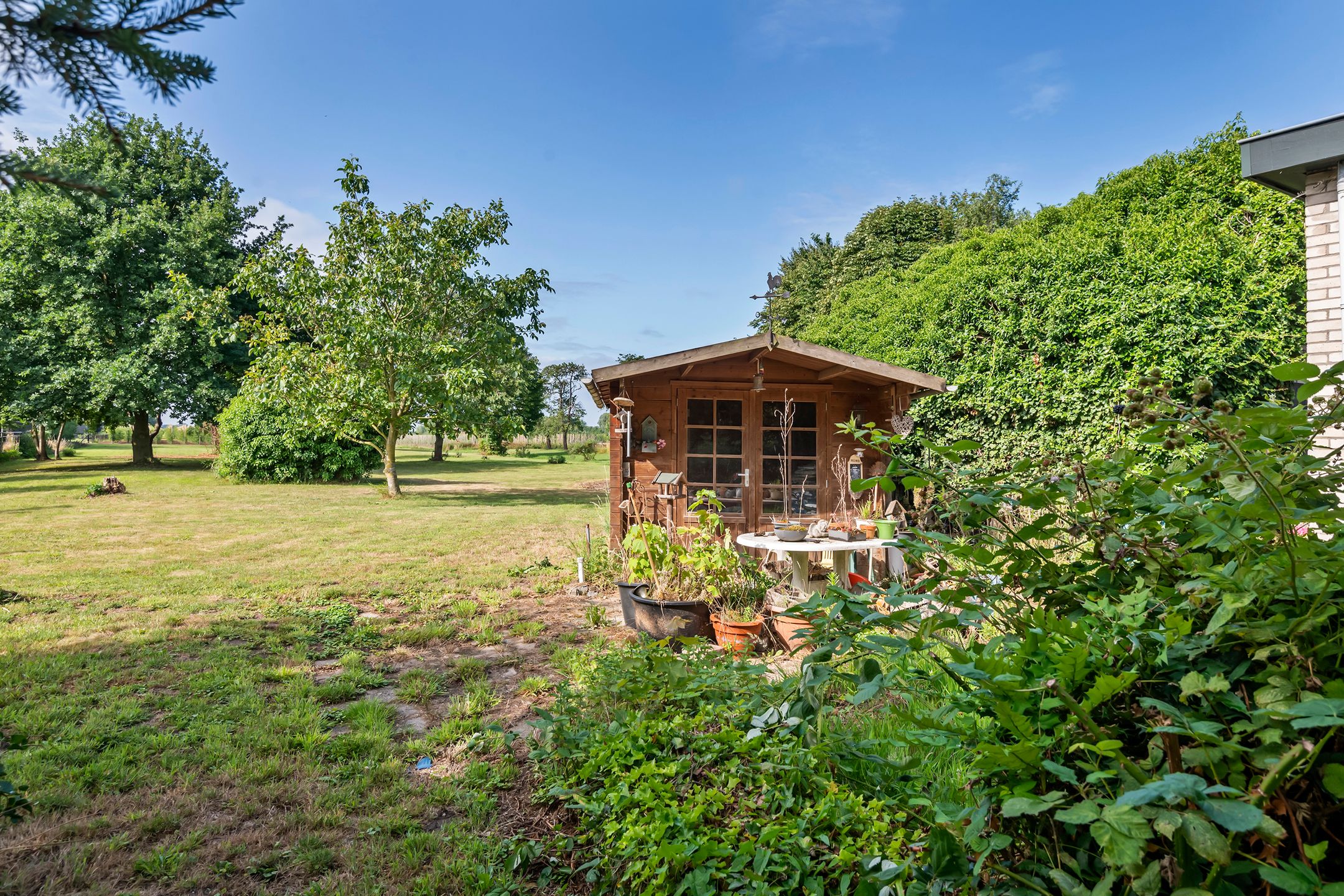 Foto 27 van Ganzert 45