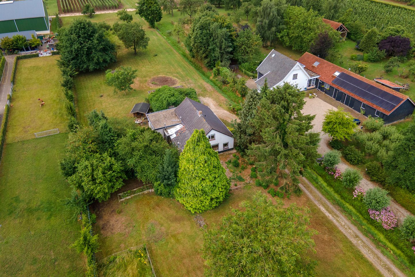 Foto 34 van Ganzert 45