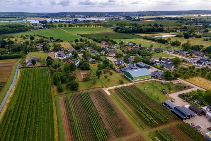 Foto 38 van Ganzert 45