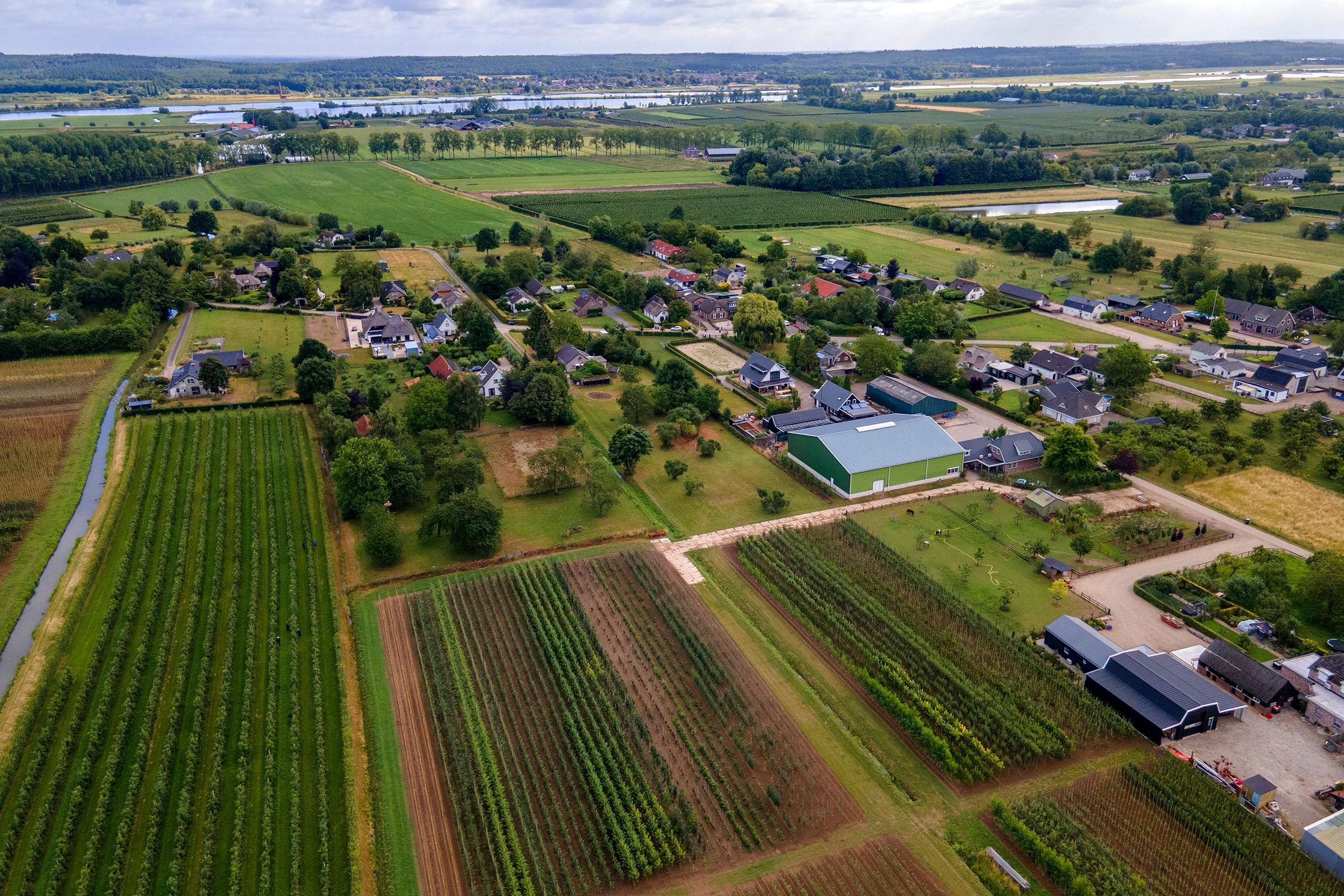 Foto 39 van Ganzert 45