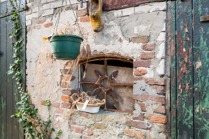 Foto 24 van Ganzert 45