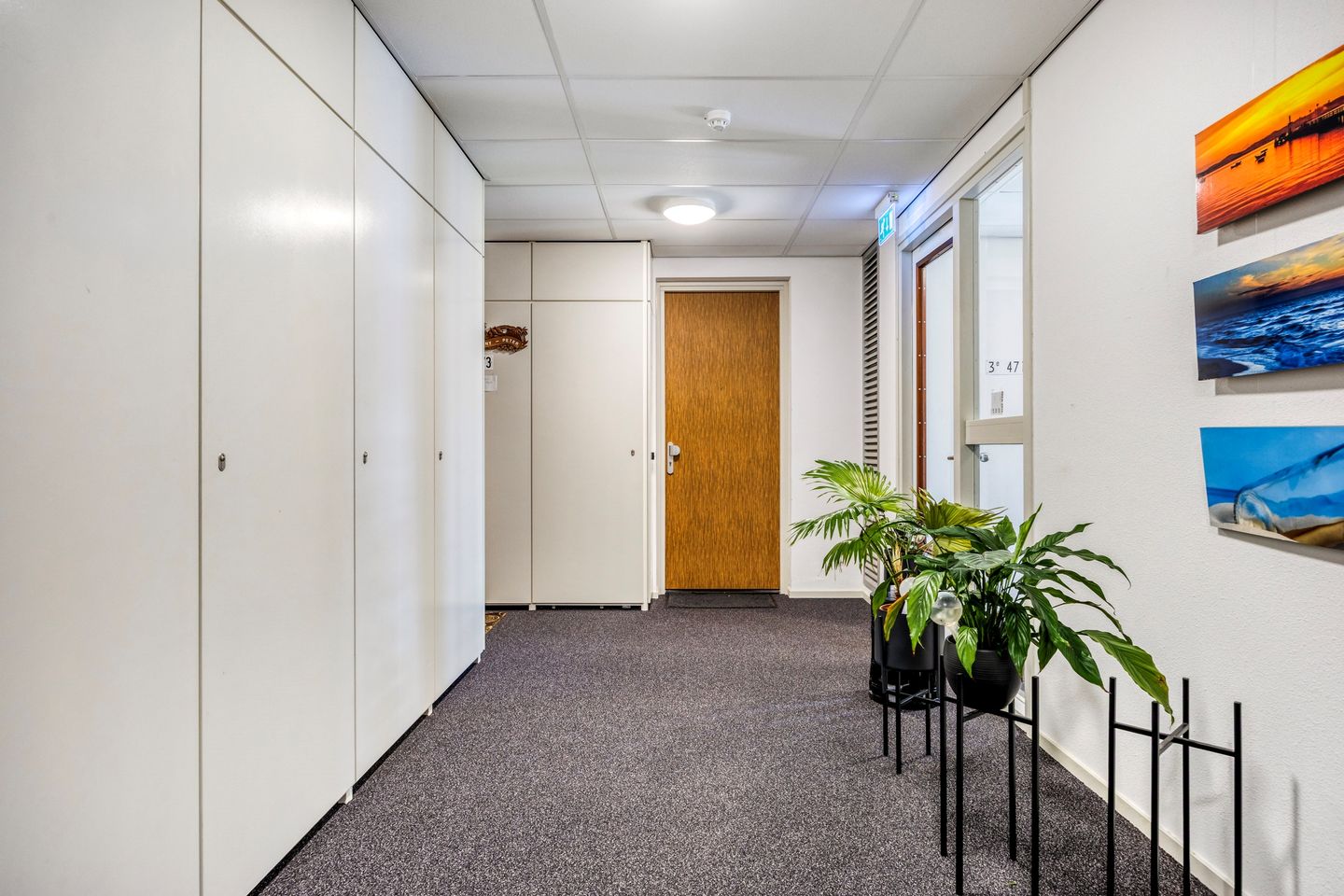 Photo 10 of Professor de Moorplein 474