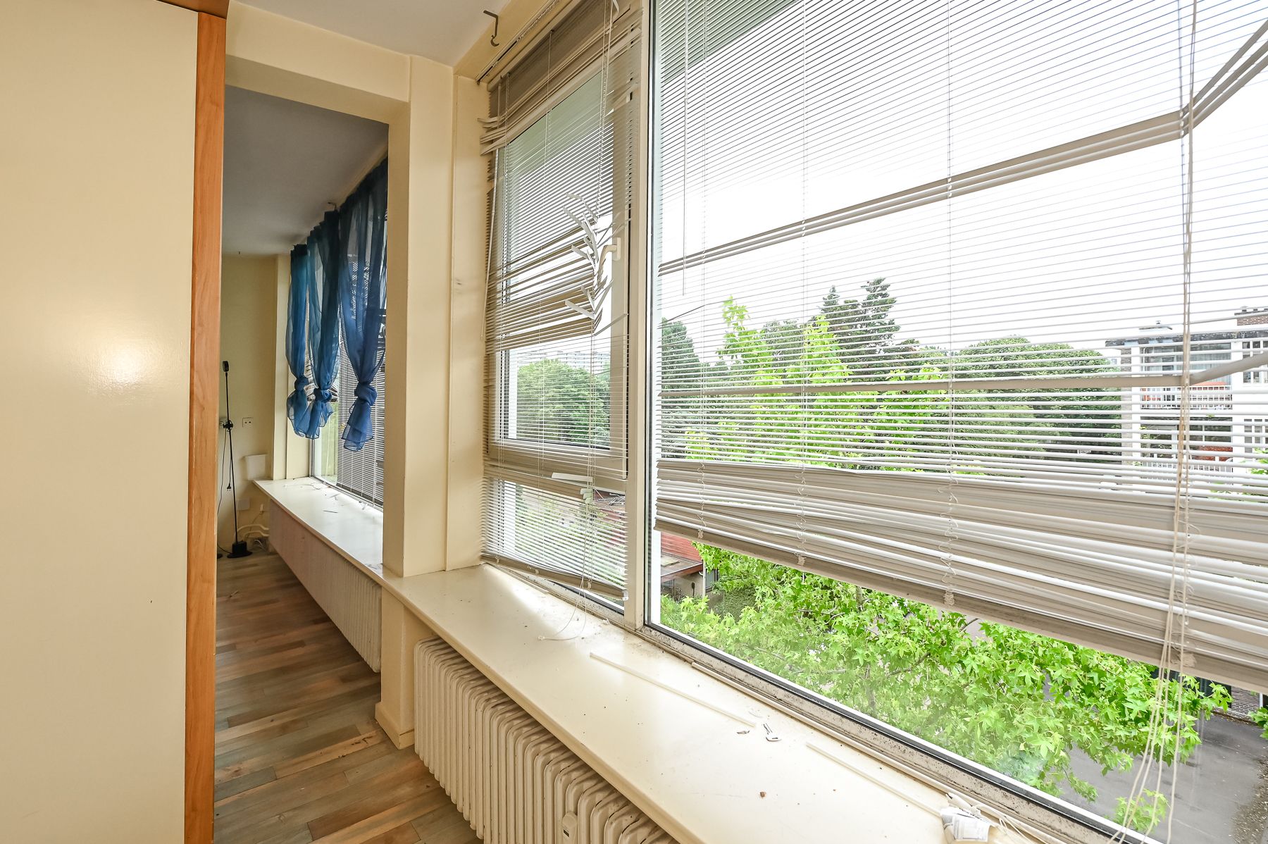Photo 24 of Smaragdhorst 209