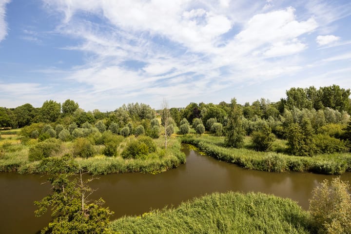 Foto 2 van Leeuwstraat 84