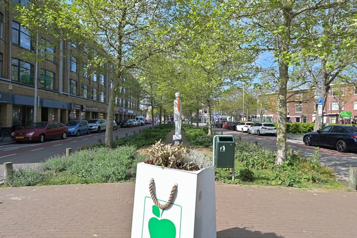 Foto 54 van Pippelingstraat 20