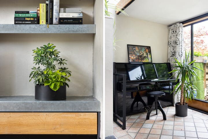 Foto 16 van Balistraat 17