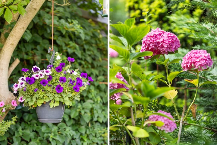 Foto 25 van Balistraat 17