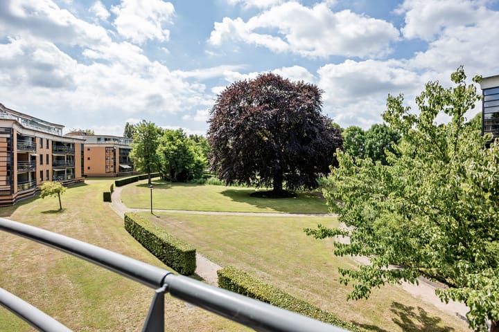 Foto 11 van Professor Boerhaaveweg 87