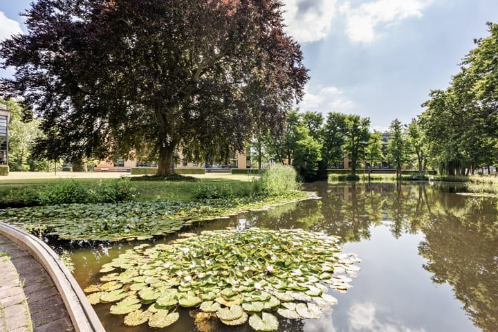 Foto 24 van Professor Boerhaaveweg 87