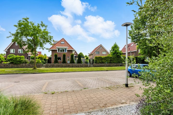 Foto 46 van Laagveen 25