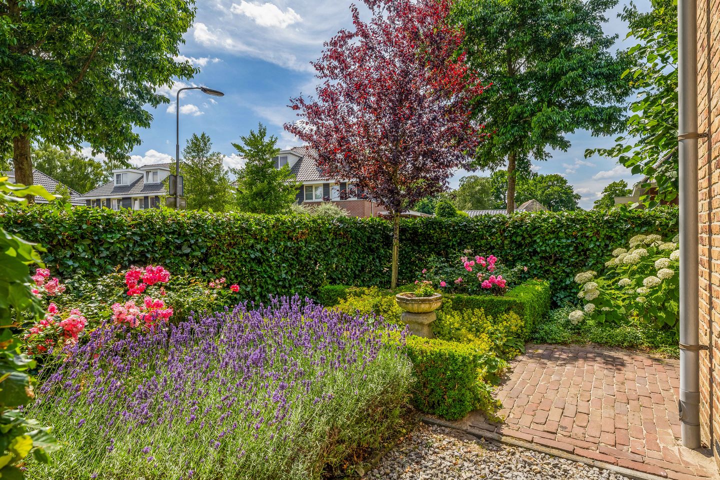 Foto 5 van Huisstee 1