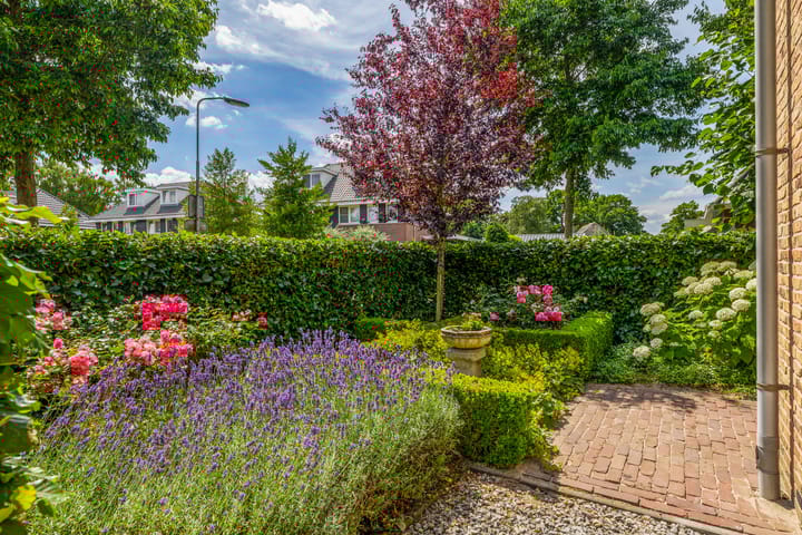 Photo 5 of Huisstee 1