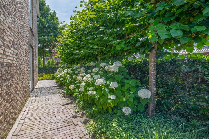 Photo 23 of Huisstee 1