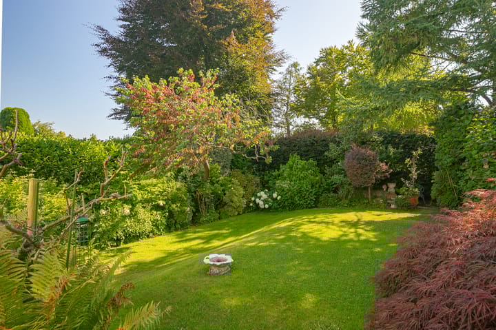 Foto 2 van Potteriestraat 141