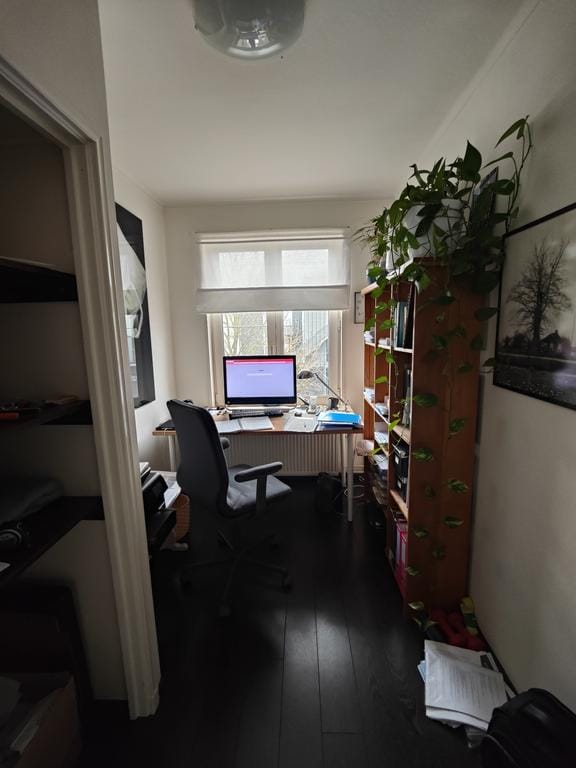 Foto 12 van Van Lawick van Pabststraat 111-3