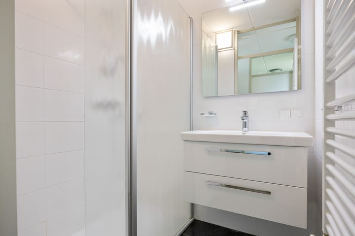 Photo 5 of De Rug 3-143