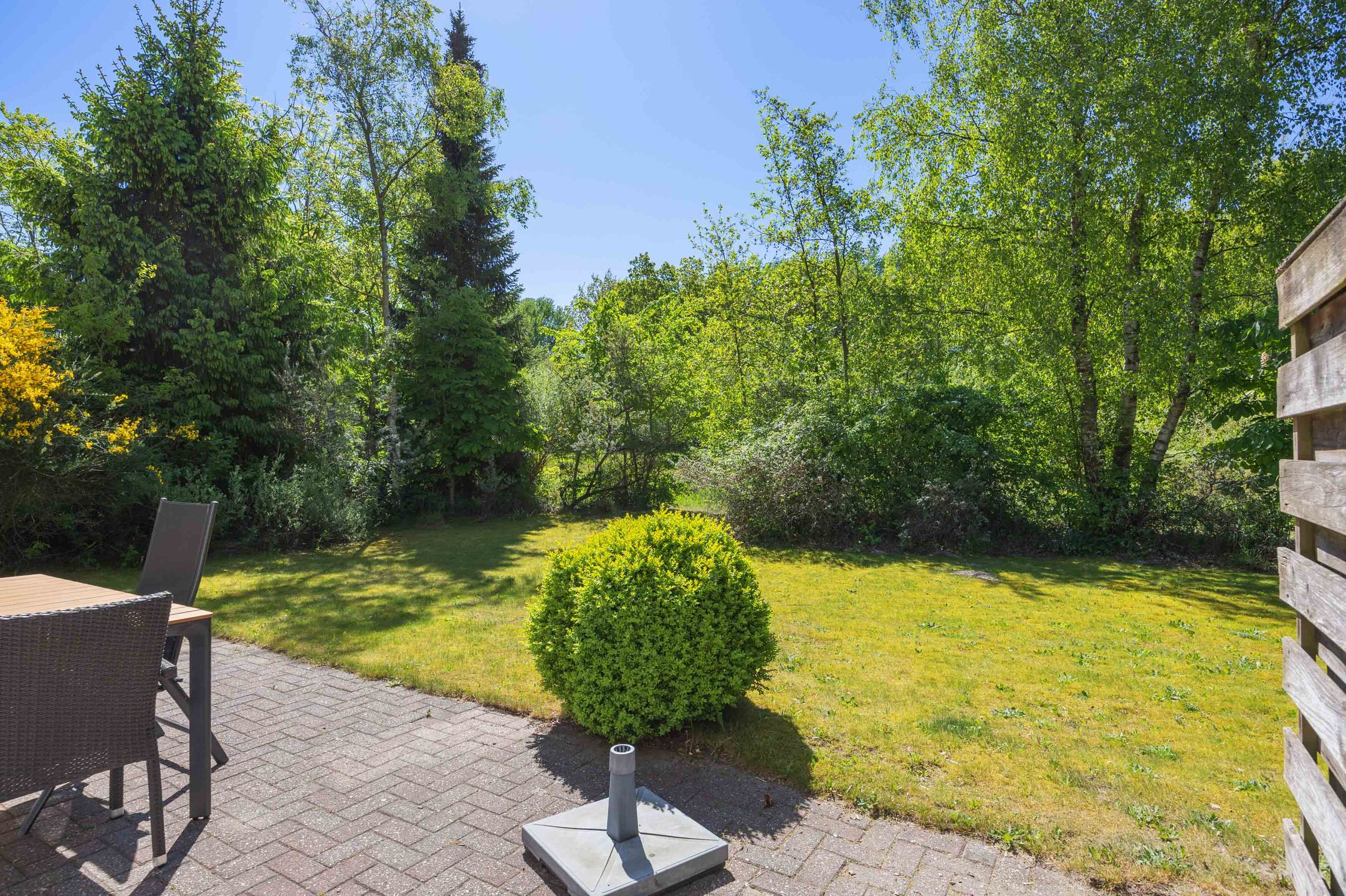 Photo 27 of De Rug 3-143