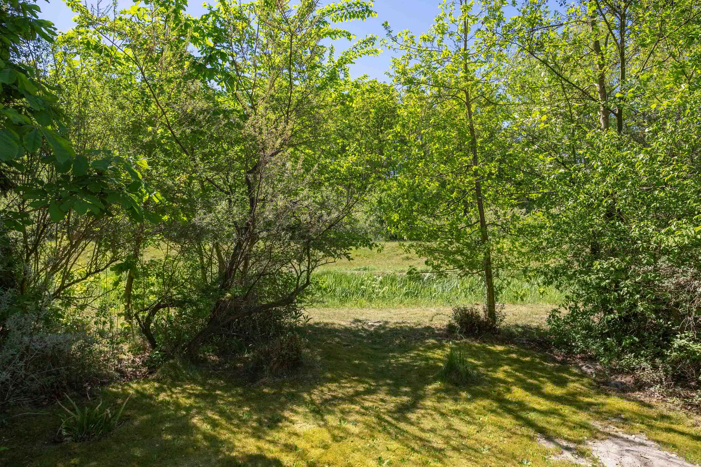 Photo 29 of De Rug 3-143