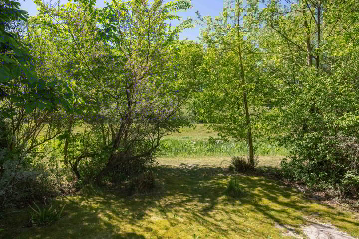 Foto 29 van De Rug 3-143