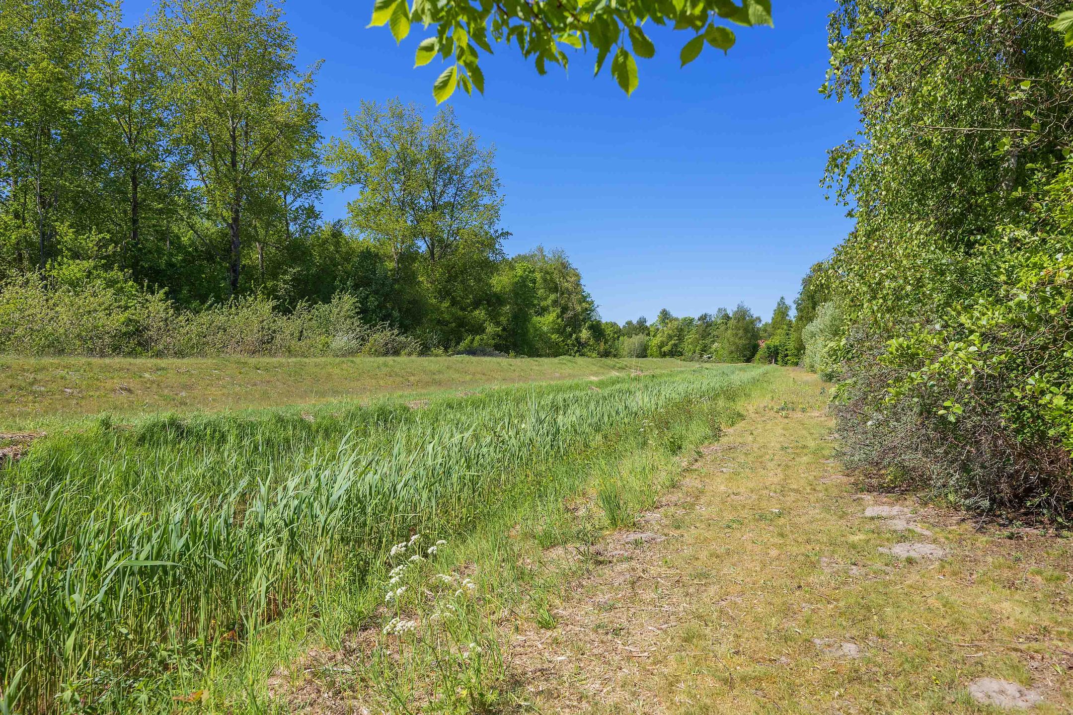 Photo 30 of De Rug 3-143