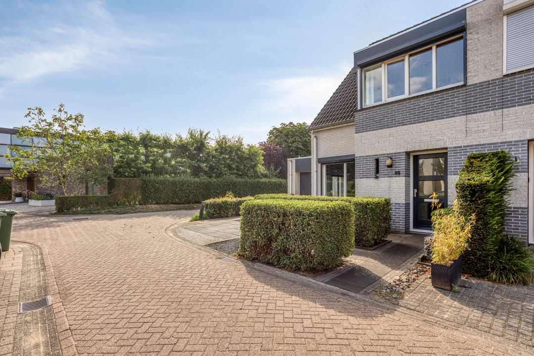 Photo 2 of Kanarie 40