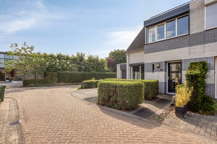 Foto 2 van Kanarie 40