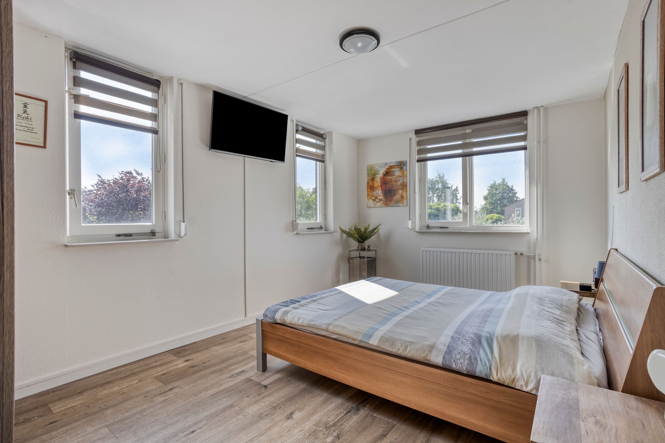 Photo 12 of Kanarie 40