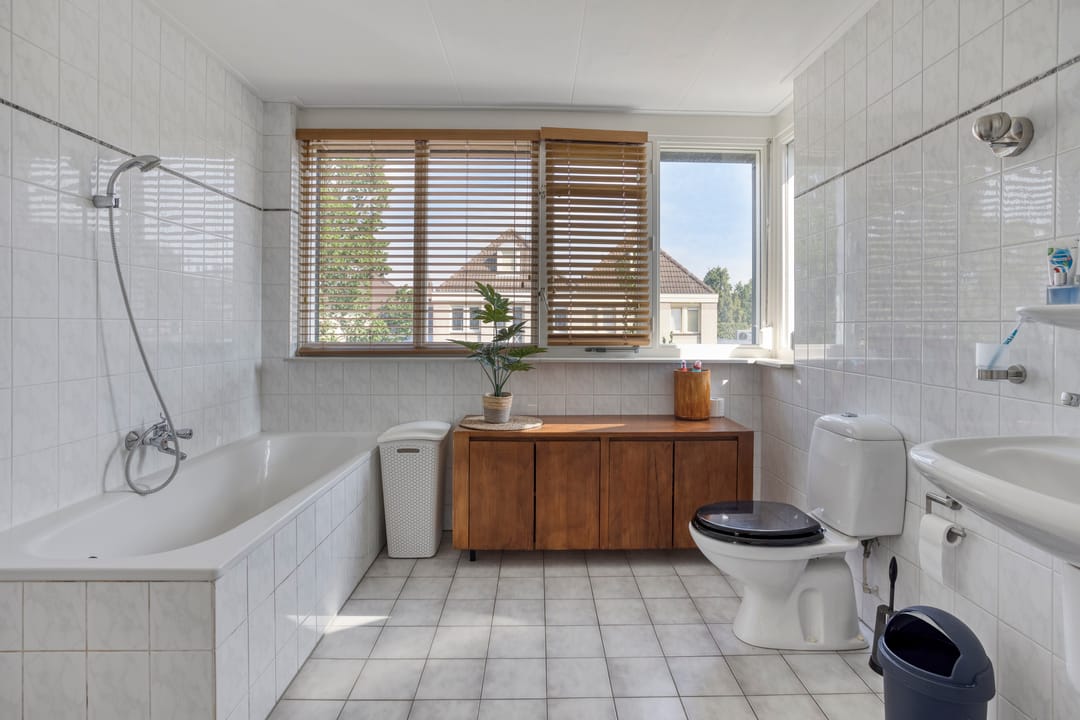 Photo 13 of Kanarie 40