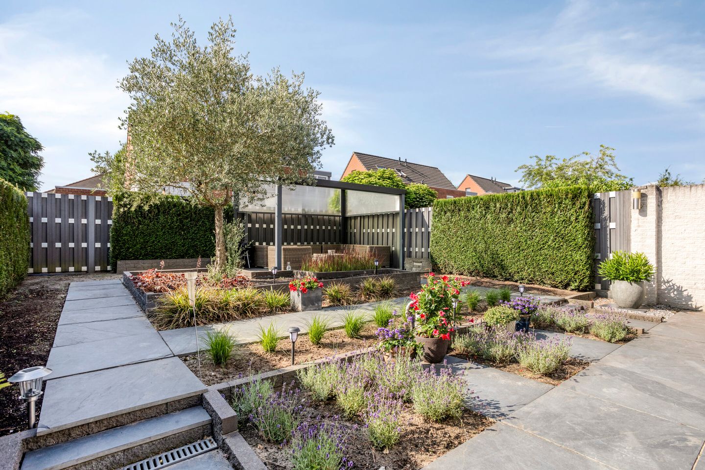 Photo 19 of Kanarie 40