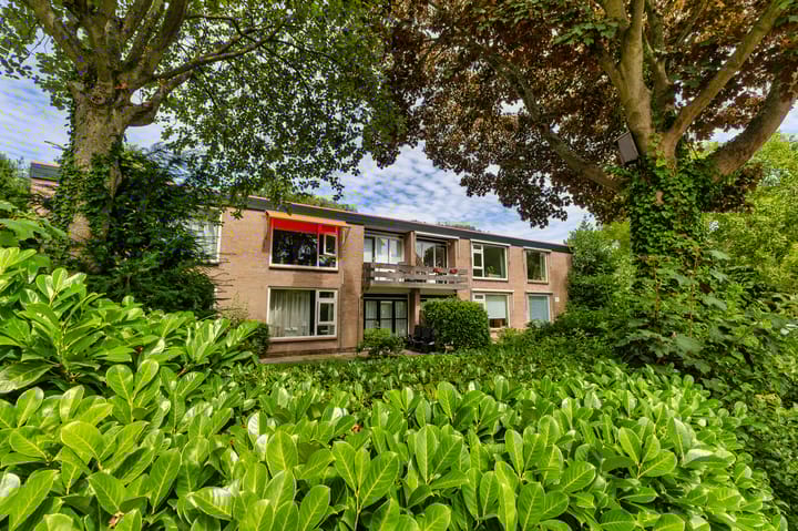 Foto 1 van Luiveland 13-A