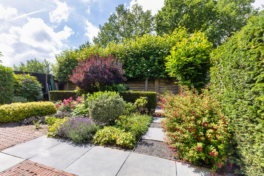 Foto 17 van Dokter van Peltlaan 74