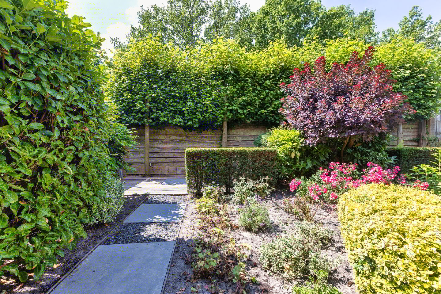 Foto 19 van Dokter van Peltlaan 74