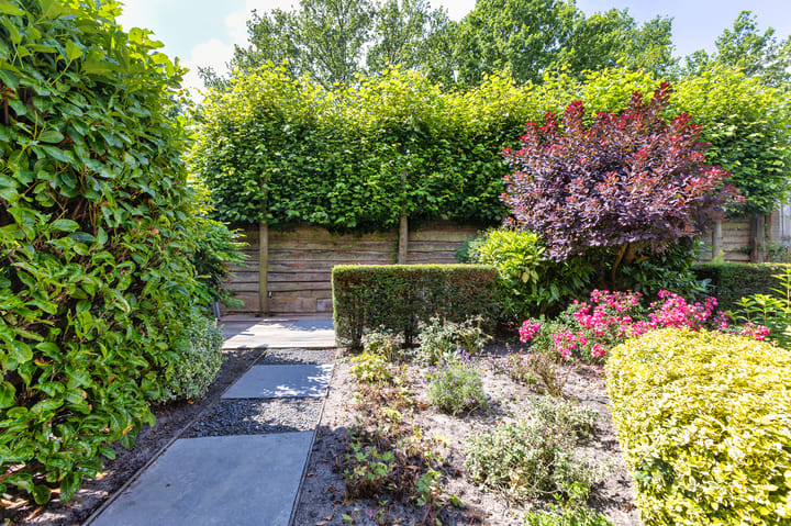 Photo 19 of Dokter van Peltlaan 74