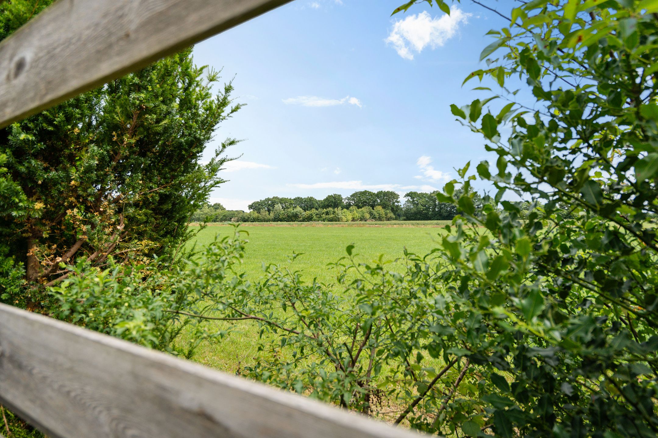 Foto 30 van Juffrouw Bosstraat 7