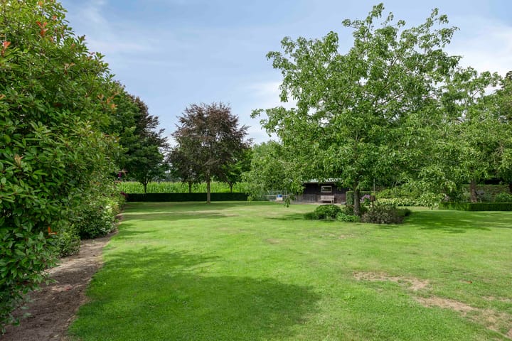 Foto 4 van Nieuw Laar 28