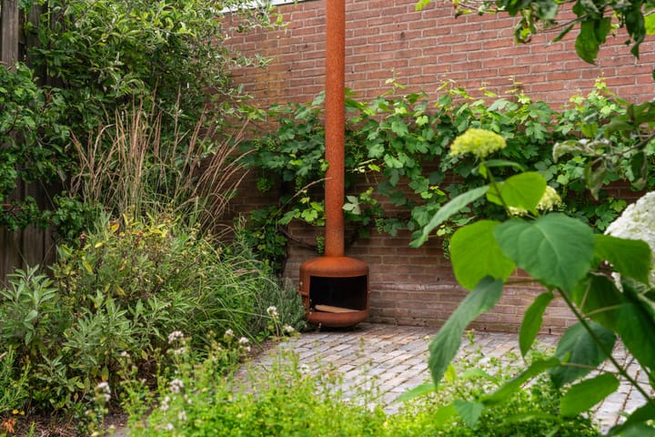 Foto 5 van Van Berckstraat 24