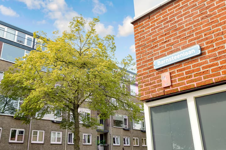 Foto 39 van Barnsteenlaan 53-2
