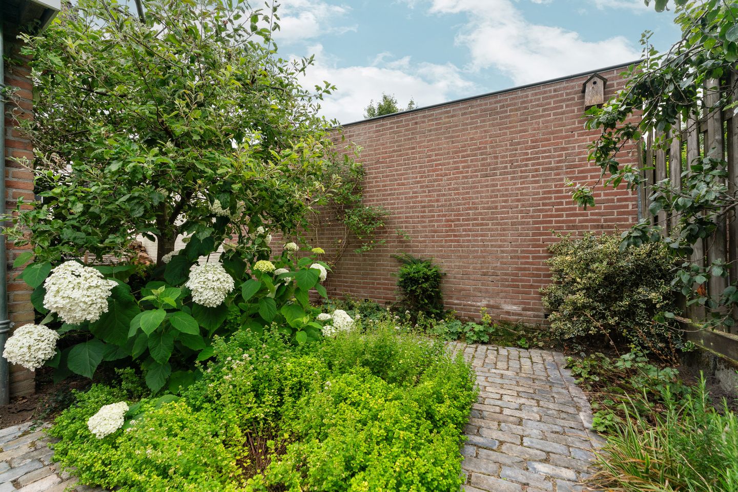 Foto 34 van Van Berckstraat 24