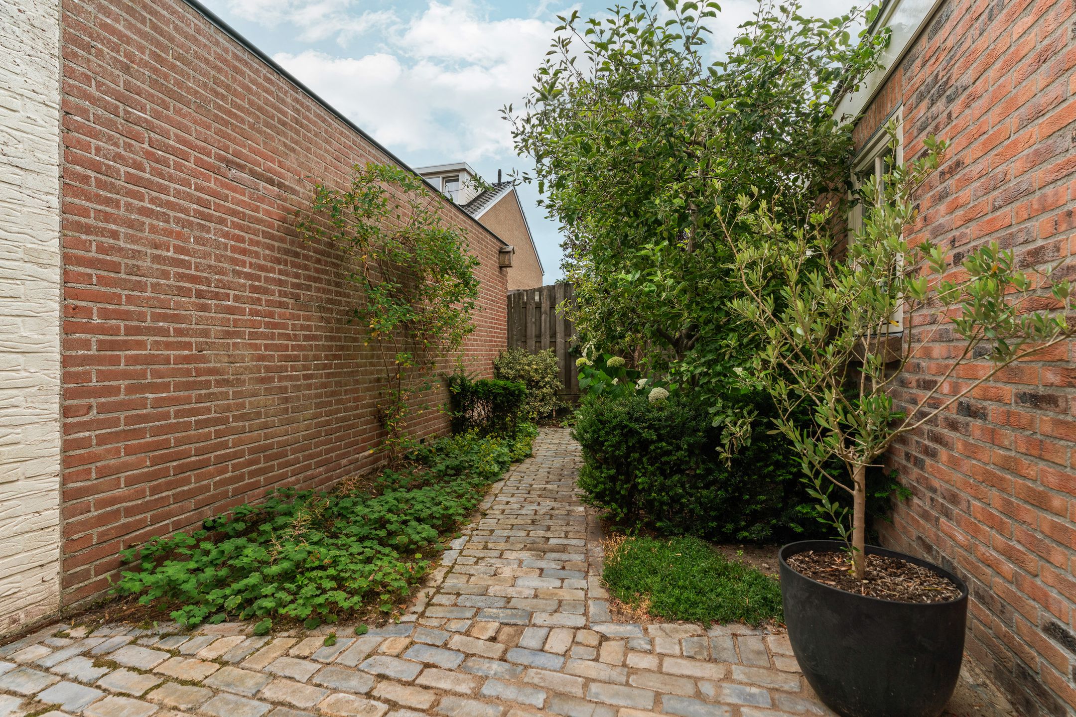 Foto 36 van Van Berckstraat 24