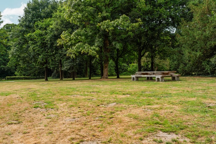 Foto 39 van Van Berckstraat 24